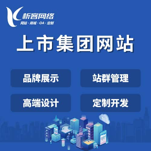 拉萨上市集团网站定制