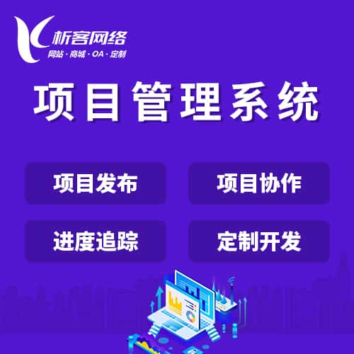 拉萨项目管理系统