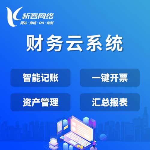 拉萨财务云系统