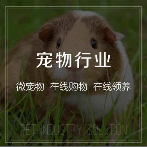 拉萨宠物