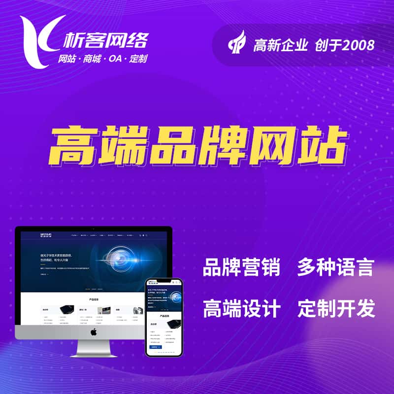 拉萨高端品牌网站