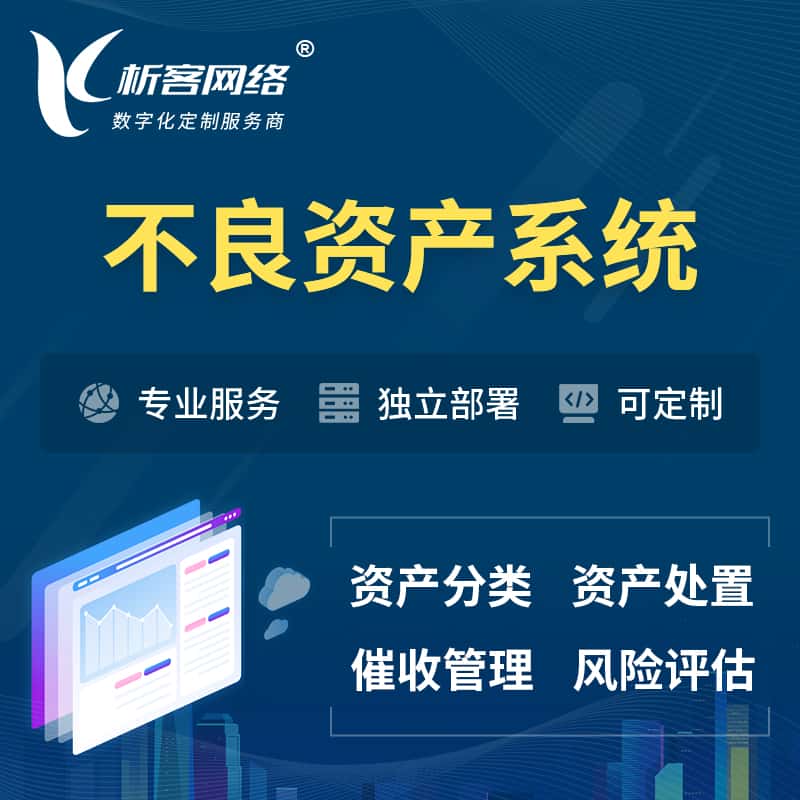 拉萨不良资产管理系统