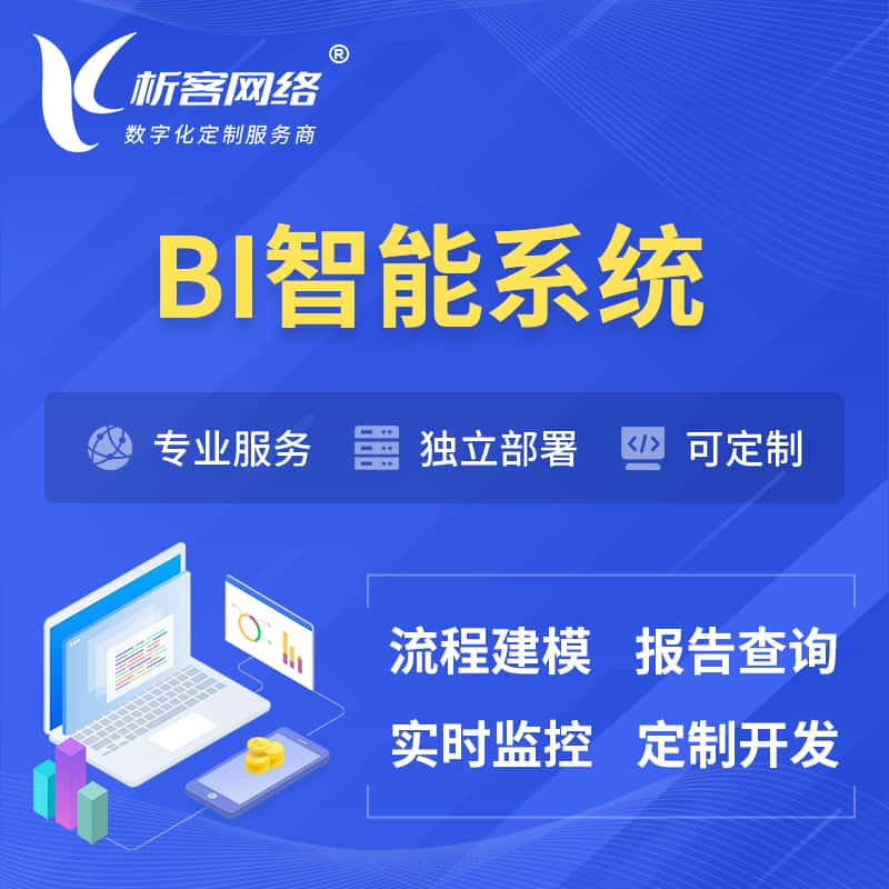 拉萨BI智能系统 | BI数据可视化